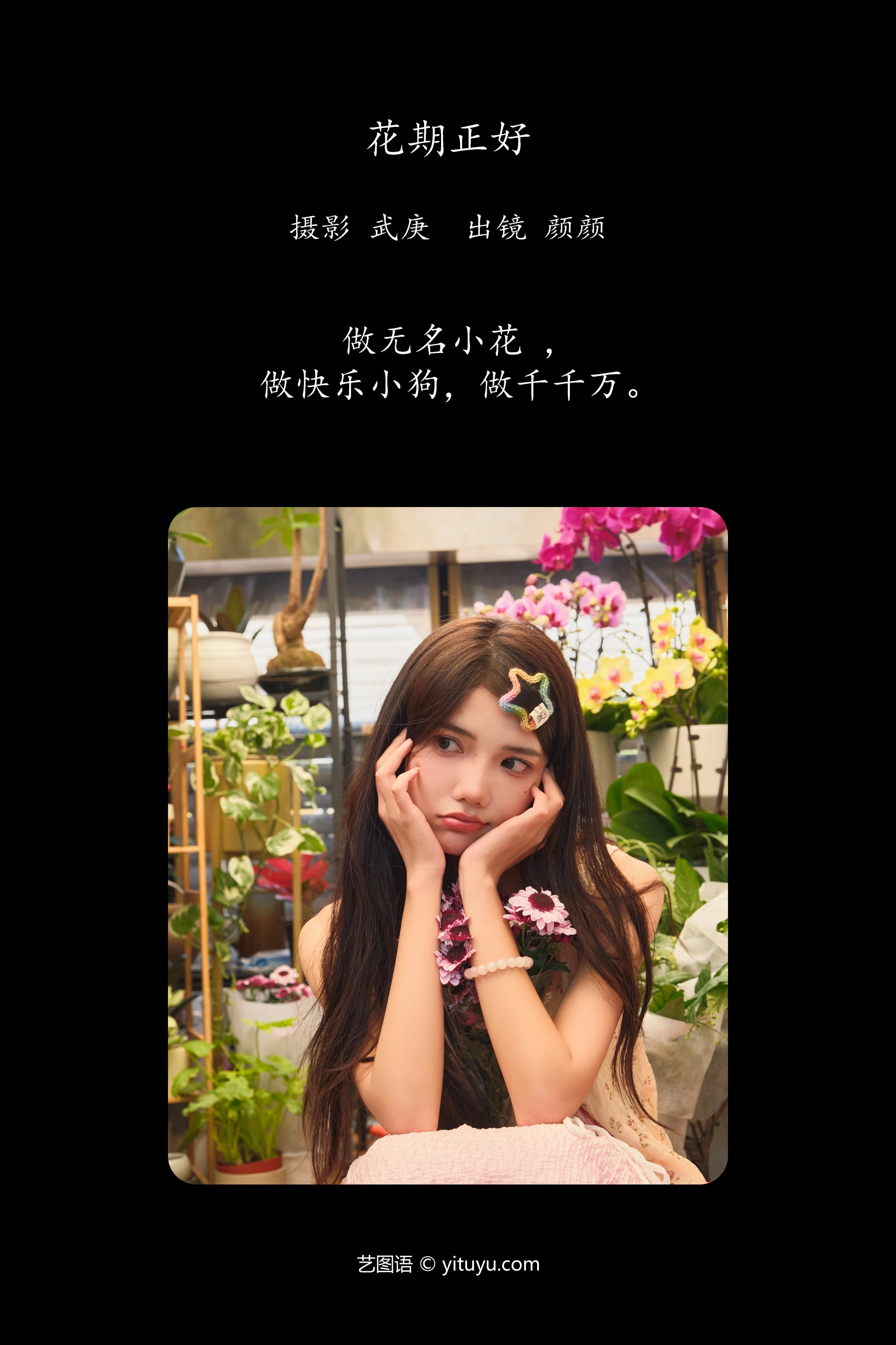 [YITUYU艺图语]2025.01.12 花期正好 多米Domy 0